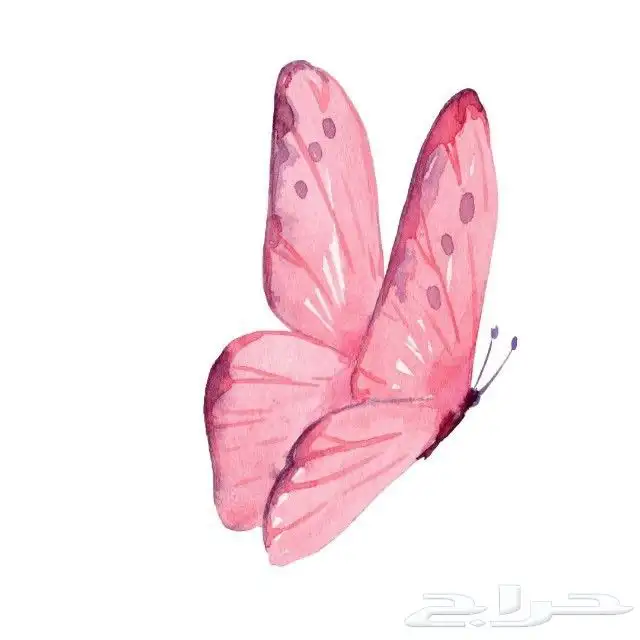 الطالب الماجستير والدكتورة 0