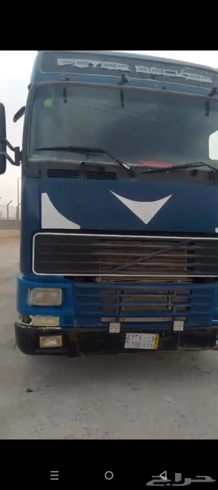 فلفو 2001 2