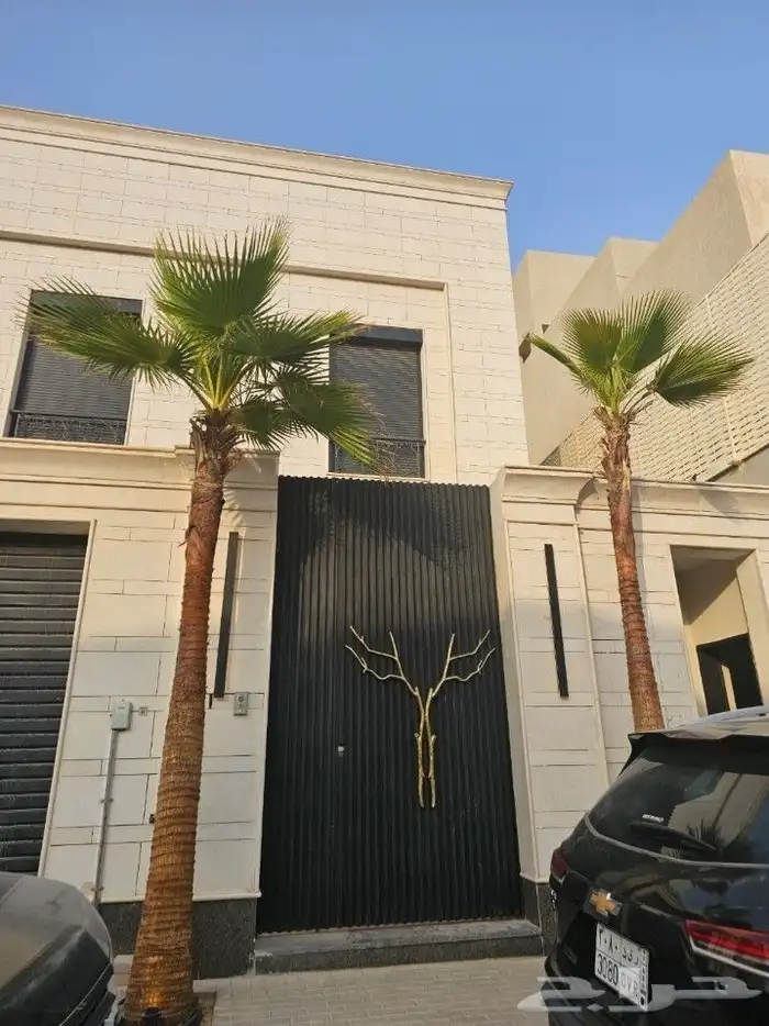 نخيل 3