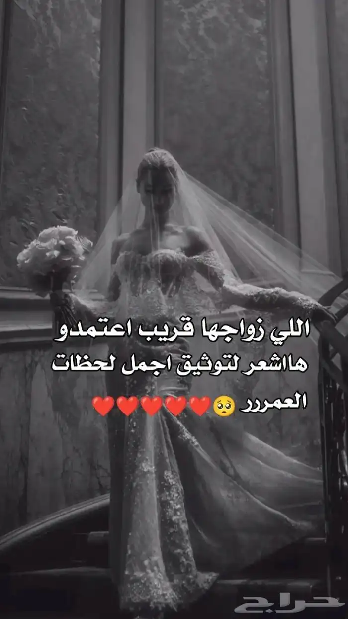 زفات عرايس 0