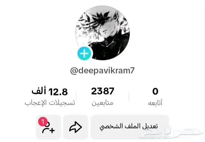 حسابات تيك متابعين هنود 3