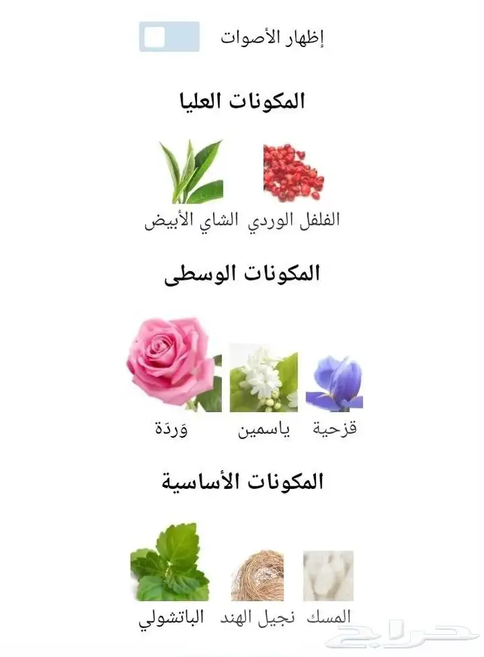 سان لوران فيلورس 2