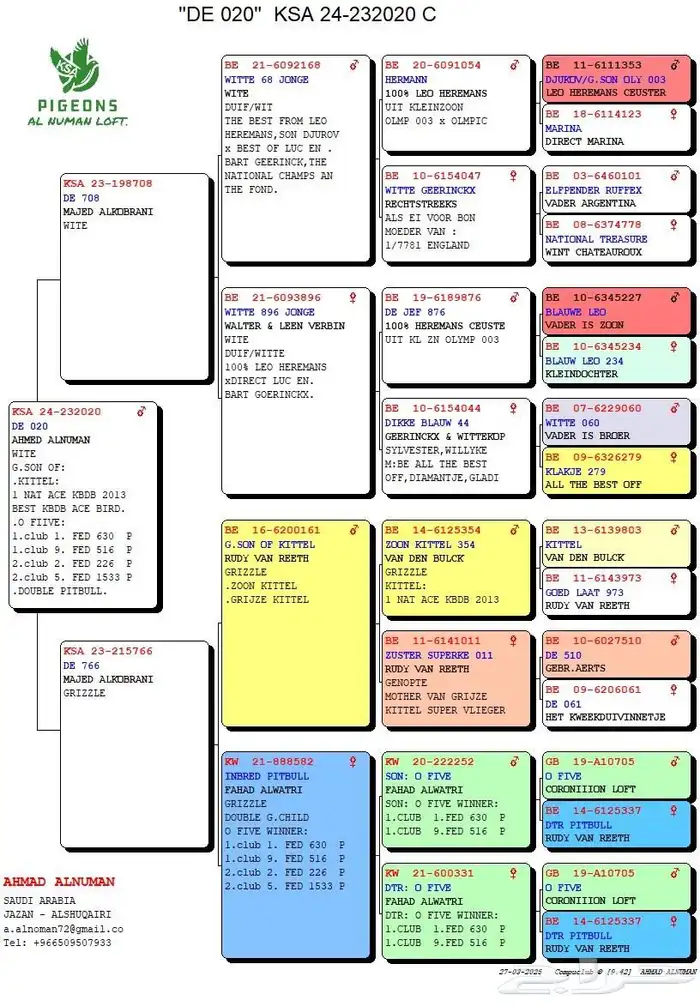 زاجل سباق 2025 أبيض 1