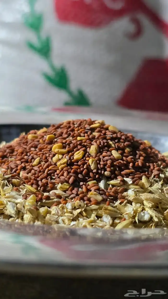 شعير مجروش 4