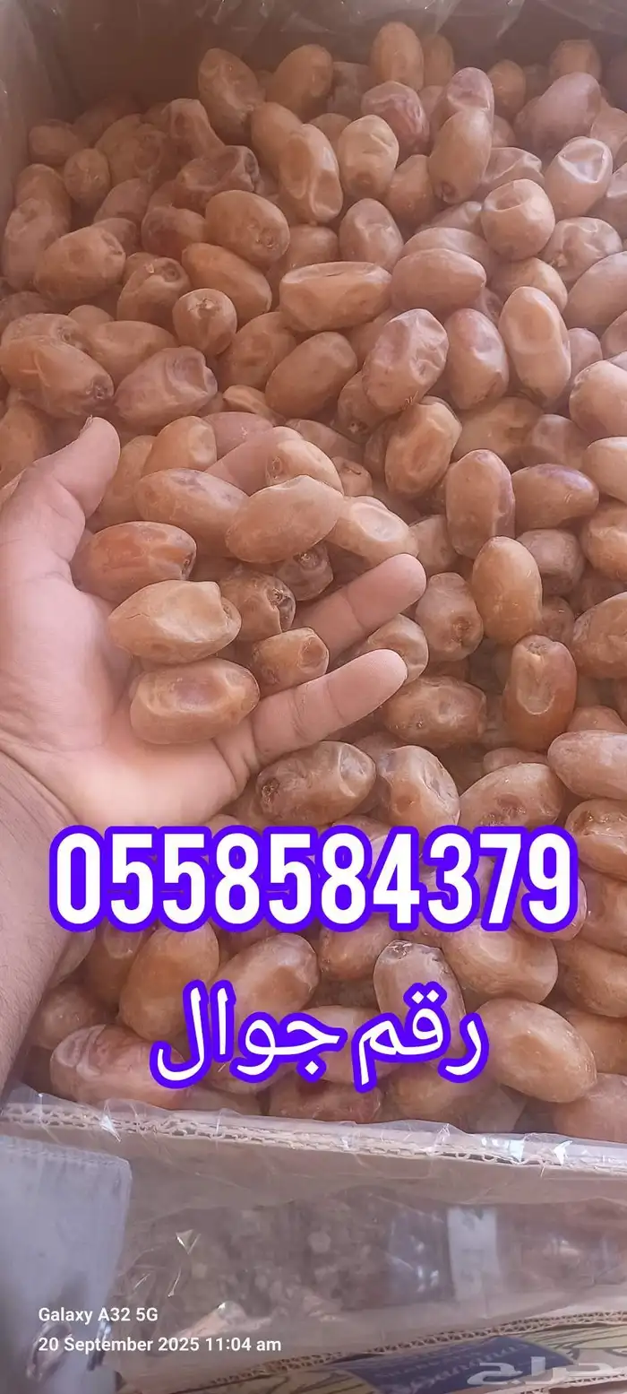 تمر خلاص فاخر للبيع 30 طن 2