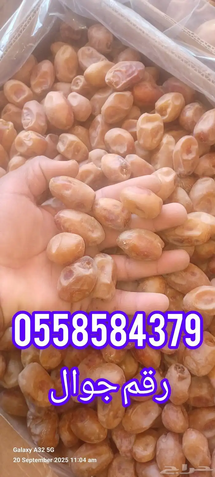 تمر خلاص فاخر للبيع 30 طن 1