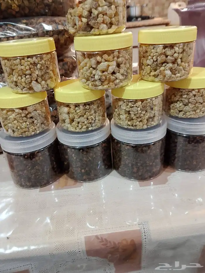 سمن 8
