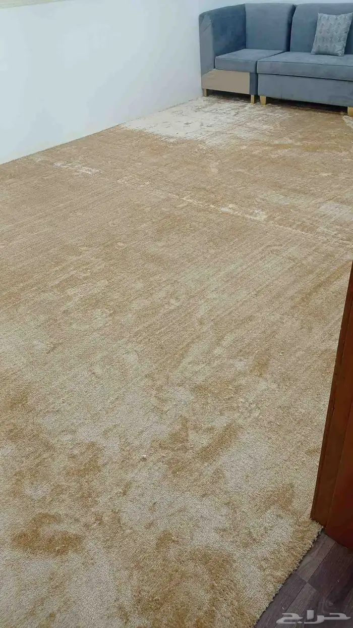 موقعنا في بيشه 14