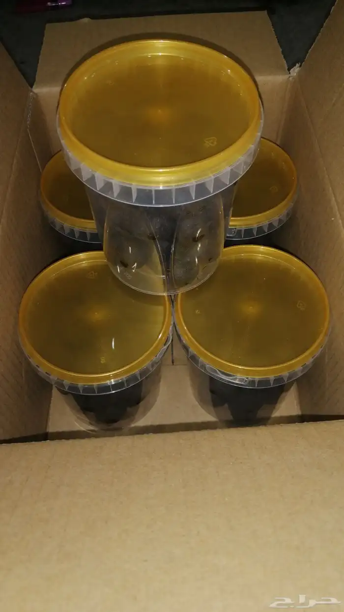 معمول ملكي 0