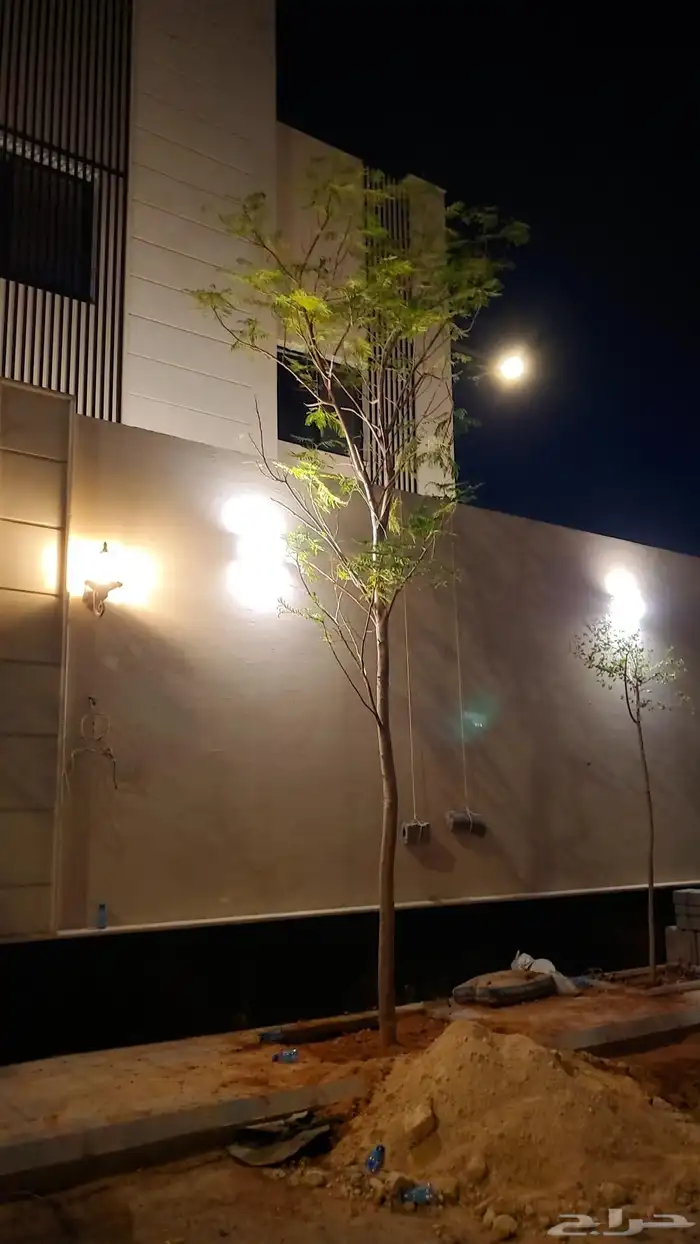 اشجار ضل كبيره 8
