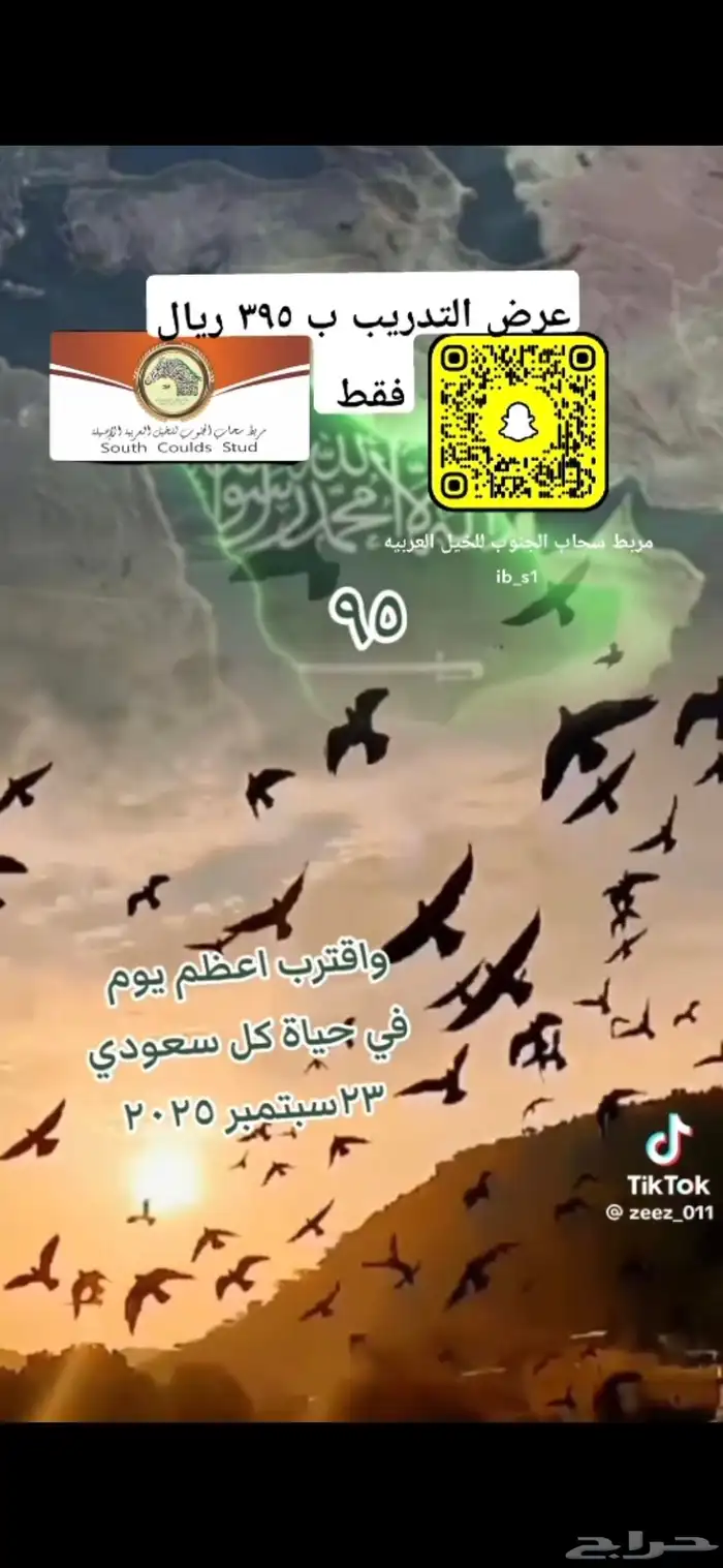 عرض اليوم الوطني 95 للتدريب ركوب الخيل بخميس مشيط 0