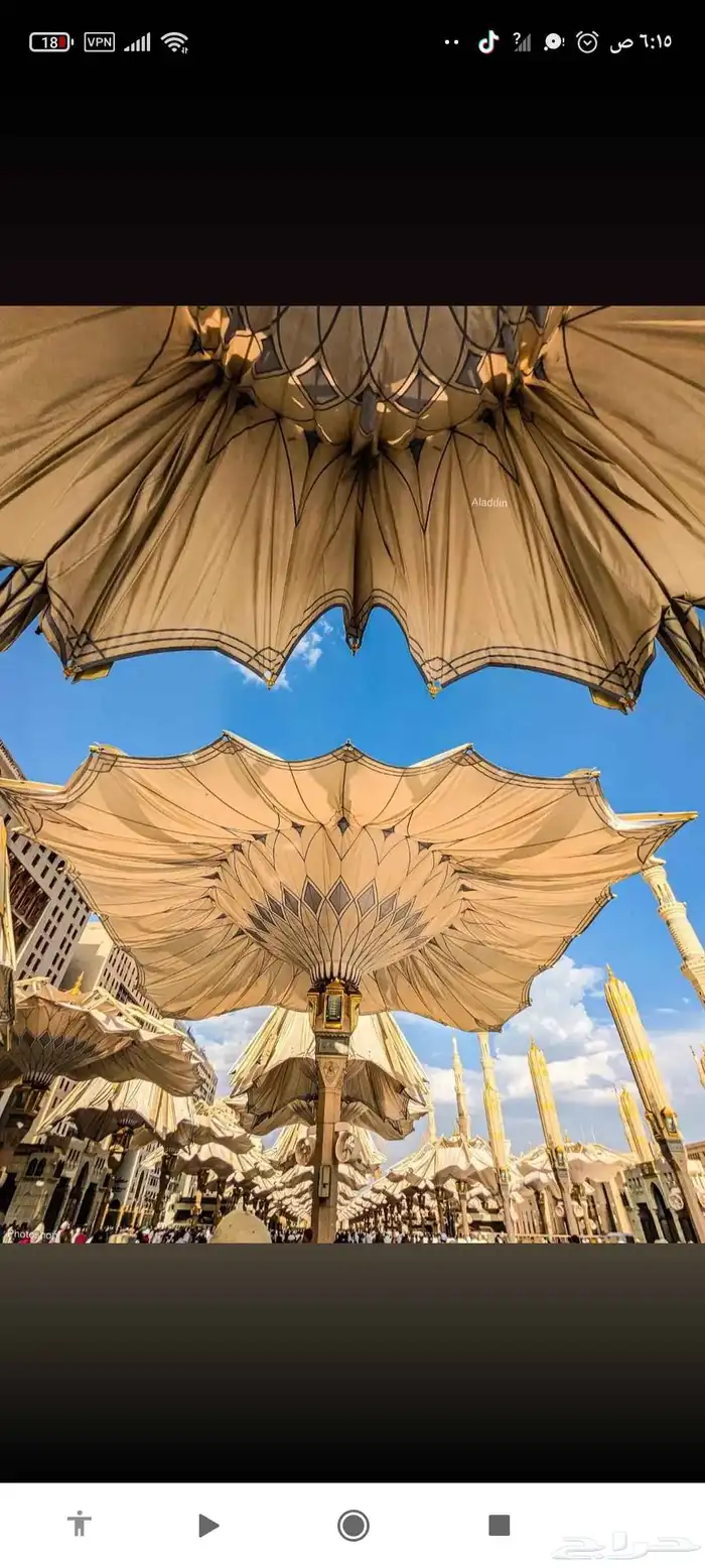 شركه التصميم إلابداعي المظلات والتندات وتنسيق الحدائق 0