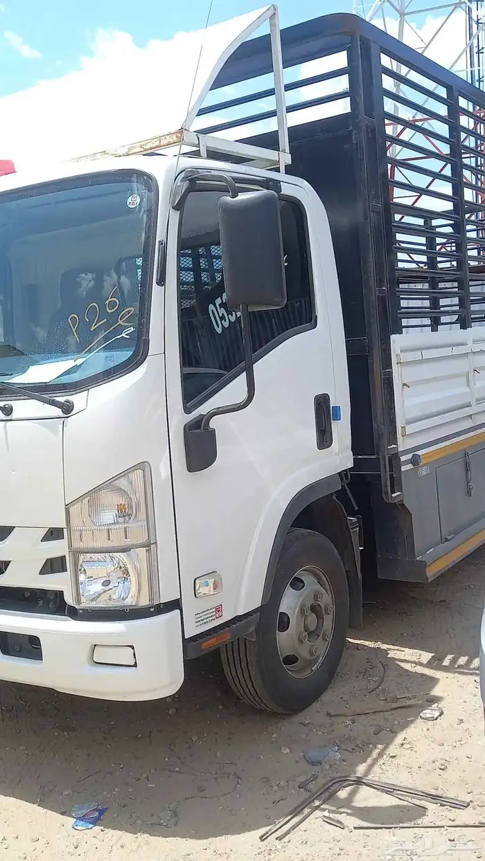 دينا اسيزوز موديل 2023 للايجار الشهري والسنوي 5