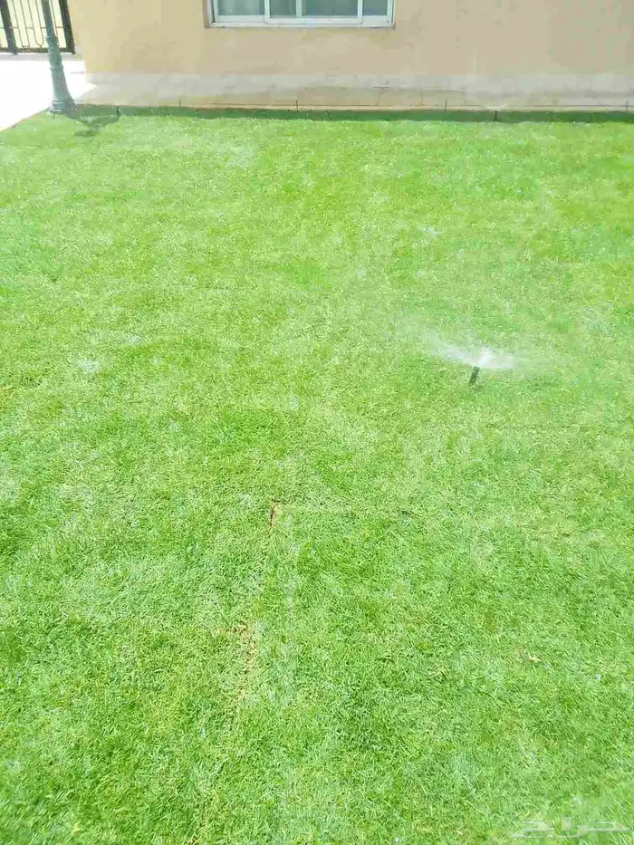 تنسيق حدائق وزراعه التيل وتركيب شبكة الري 3