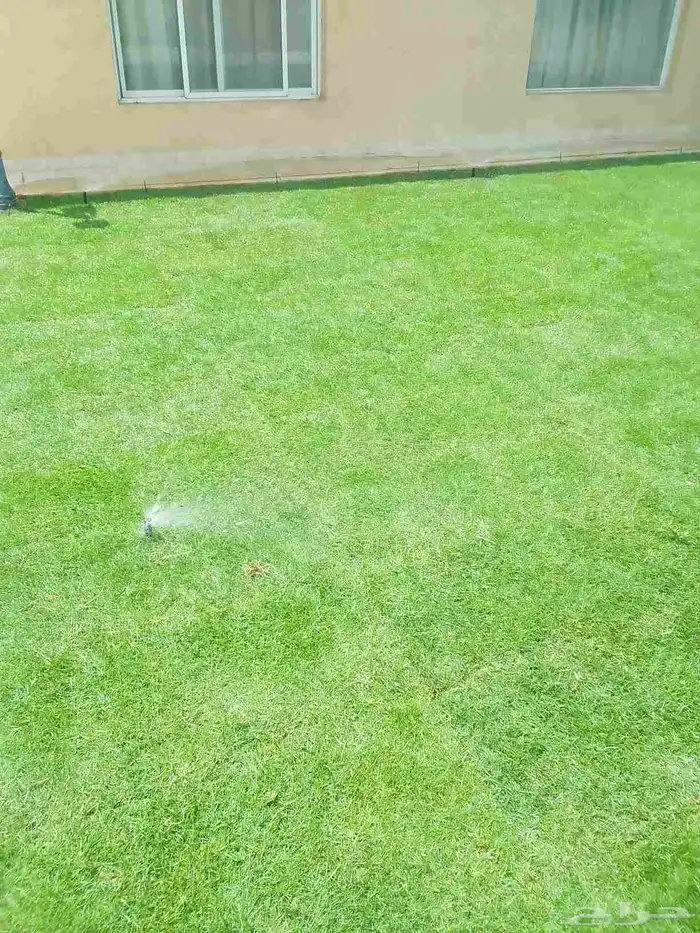 تنسيق حدائق وزراعه التيل وتركيب شبكة الري 4