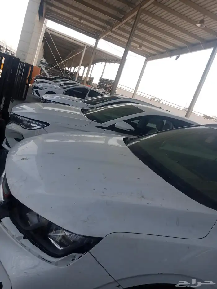 تولو رايد موديل 2022 2