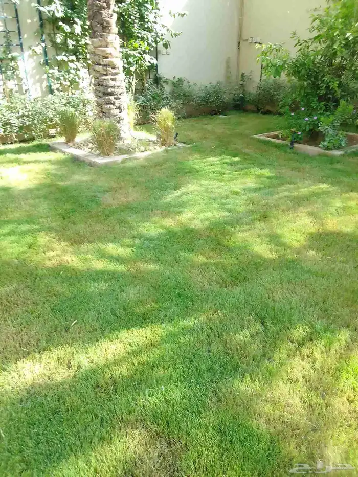 تنسيق حدائق وزراعه التيل وتركيب شبكة الري 7