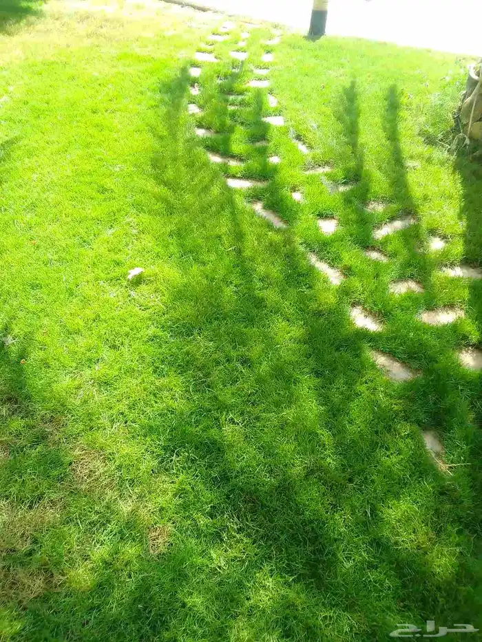 تنسيق حدائق وزراعه التيل وتركيب شبكة الري 9