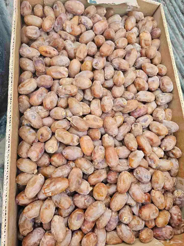 تمر اخلاص 0