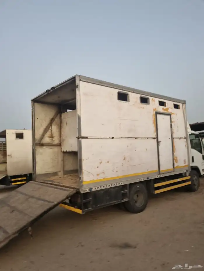 دينه نقل خيل 0