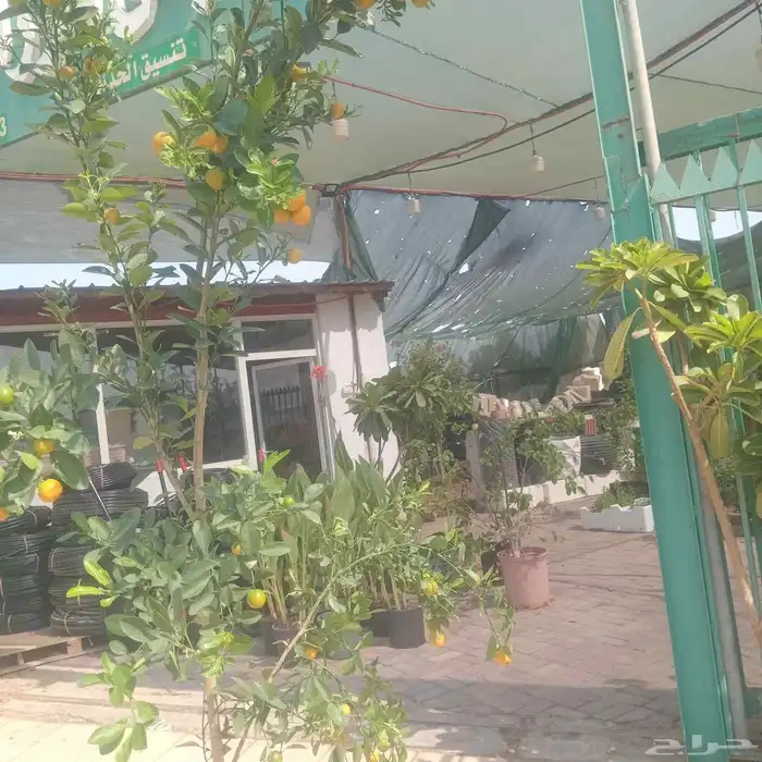 مشتل البستان تنسيق الحدايق وشبكات الرى 5