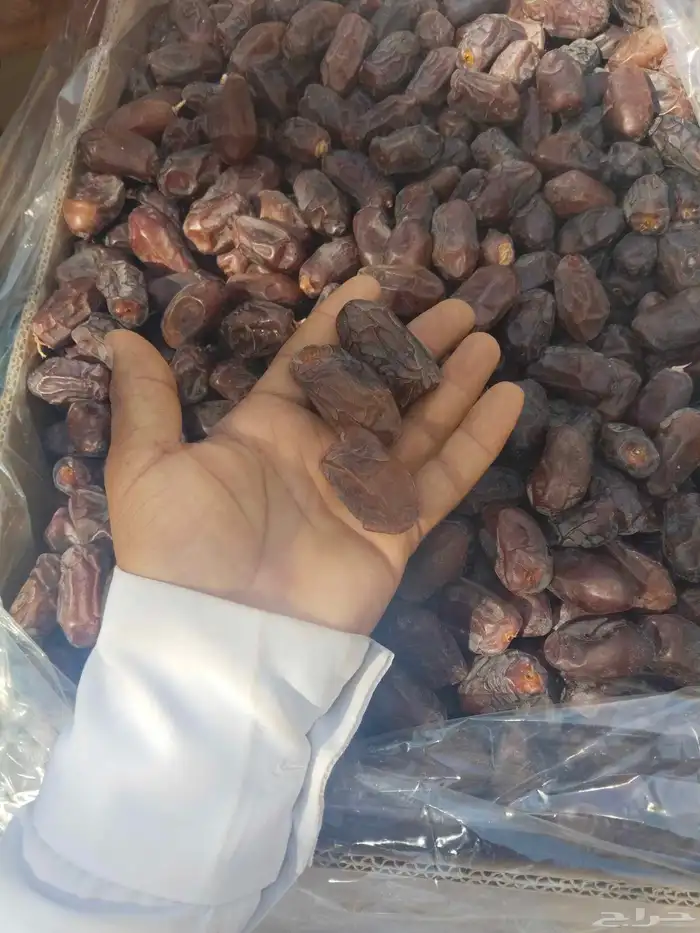 خضري فاخر للبيع كميات 2