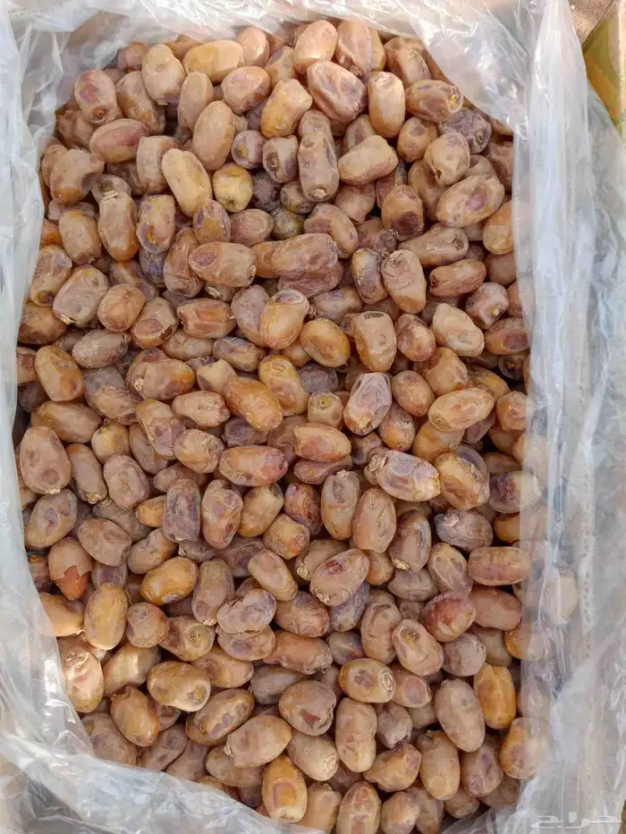 اخلاص للبيع حبه طيبه 150كرتون الموقع ساجر 0