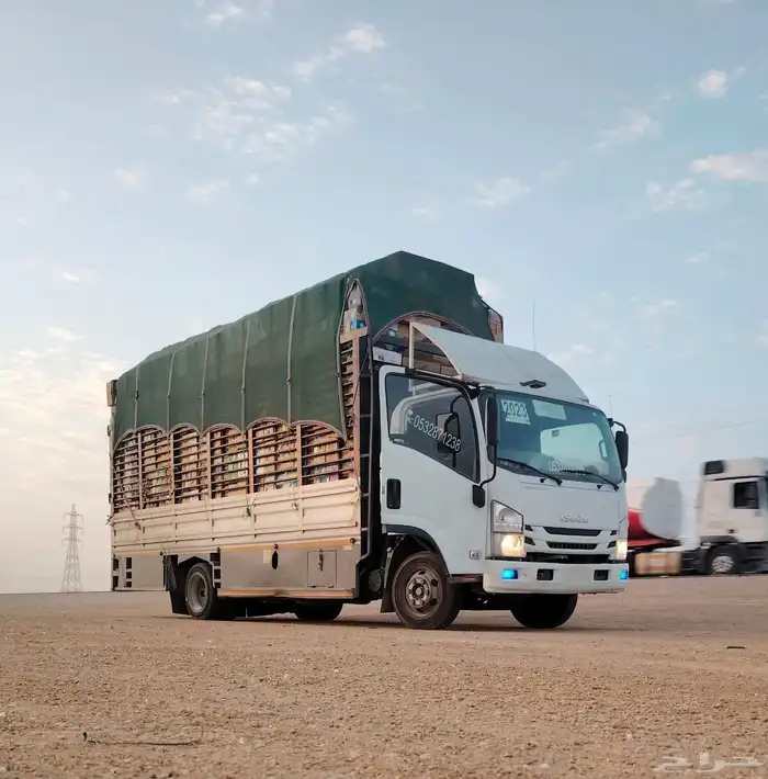 دينا اسيزوز موديل 2023 للايجار الشهري والسنوي 4