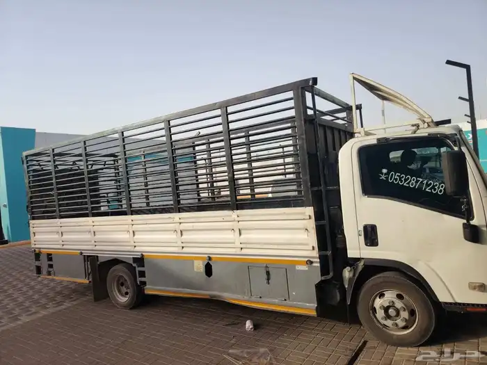 دينا اسيزوز موديل 2023 للايجار الشهري والسنوي 2