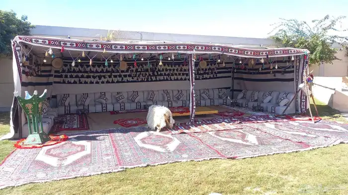 تجهيز حفلات ومناسبات 9