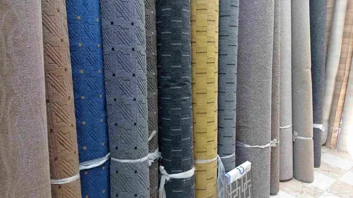 موقعنا في بيشه 11