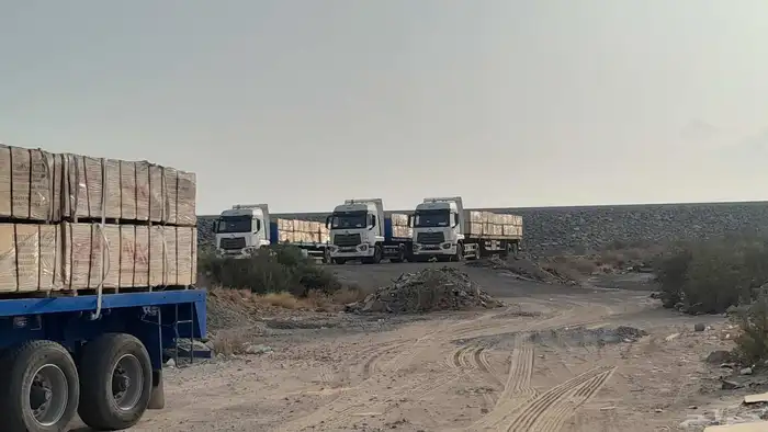 بليود م دي اف 9