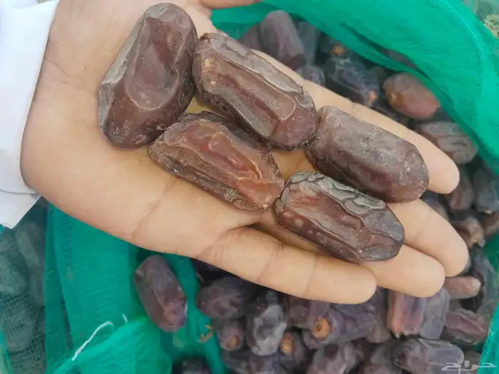خضري فاخر للبيع كميات 0