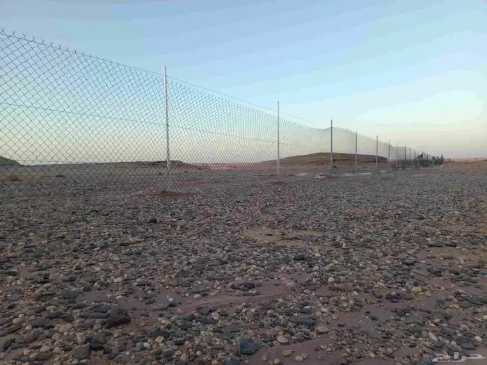 مقاول شبوك 8