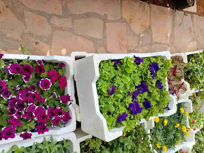 تنسيق حدائق وزراعه التيل وتركيب شبكة الري 1