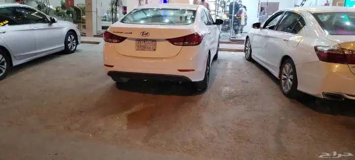 النترا 2016 ممشى 280 0