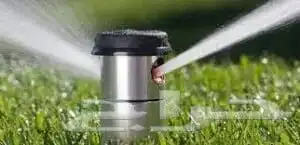 تركيب نحل أشجار مثمره زرع طبيعي 2