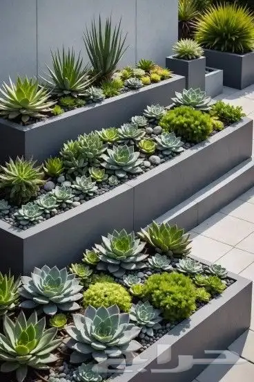 ديكورات حجر وGRC 8