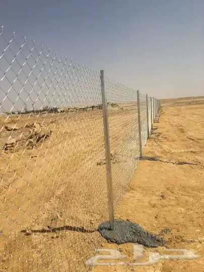 تركيب الشبك وتوريد النخل 1