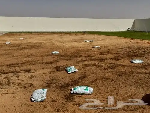 ثيل سي 2000 حق الخرج القصيم 9