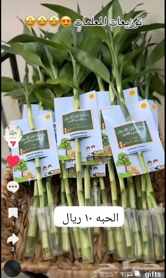 توزيعات إبداعية مع عروض اليوم الوطني 5