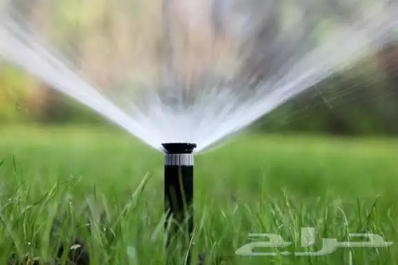 تركيب نحل أشجار مثمره زرع طبيعي 6