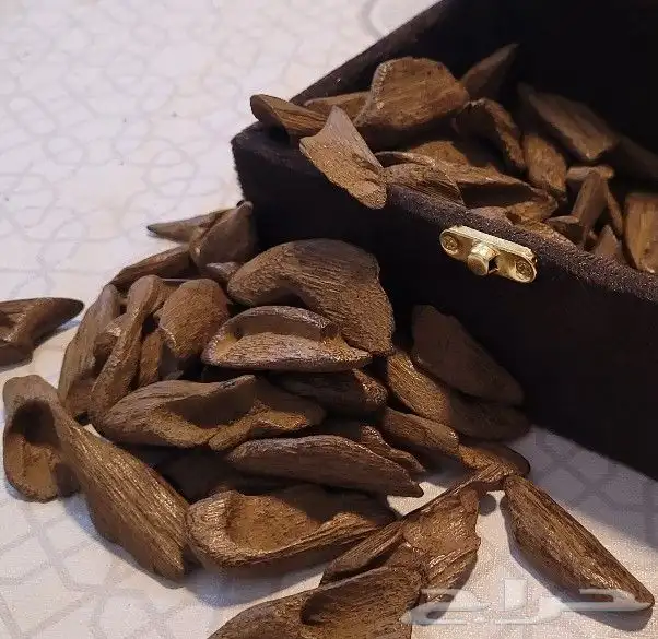 عود موروكي فاخر محسن مناسب للمناسبات والمساجد والمكاتب 4