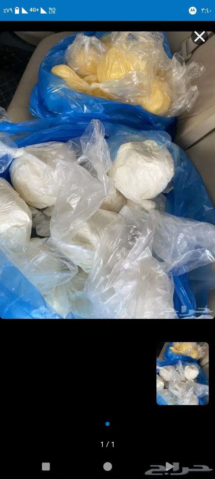 يوجد لدينا زبده غنم وبقر خالي من الشوائب والشيط 8