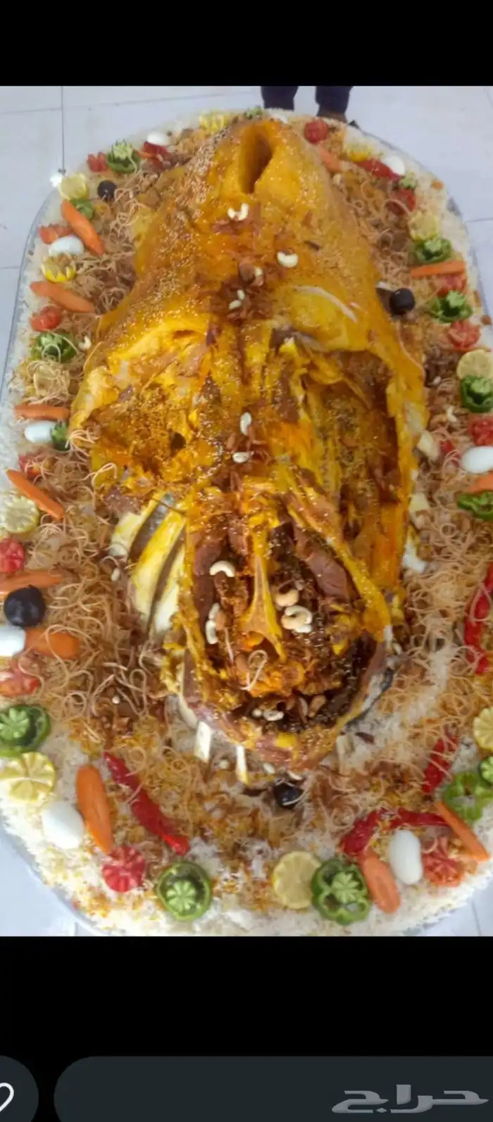 طباخ متنقل داخل وخارج الرياض 0