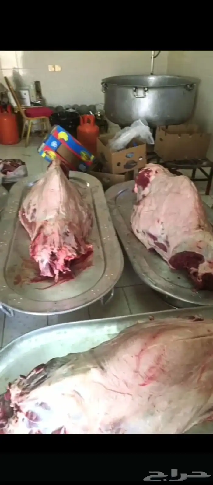 طباخ متنقل داخل وخارج الرياض 1