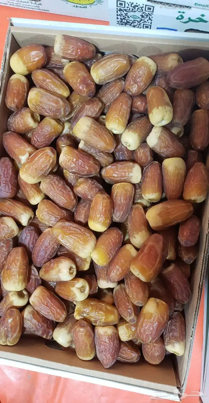 نخيل 6