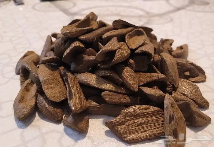 عود موروكي فاخر محسن مناسب للمناسبات والمساجد والمكاتب 2