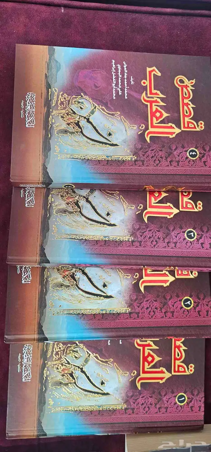 6 كتب الشقيقتان و صاحب الضل الطويل و سلسلة قصص العرب 2