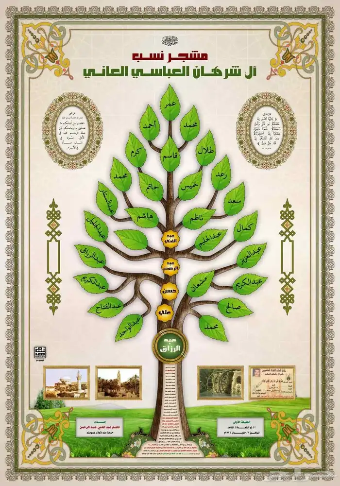 تصميم مشجرات الأنساب 12